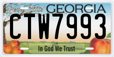 GA license plate CTW7993