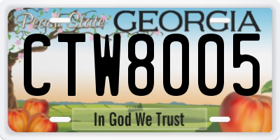 GA license plate CTW8005