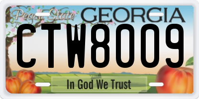 GA license plate CTW8009