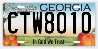 GA license plate CTW8010