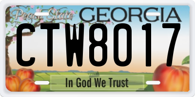 GA license plate CTW8017