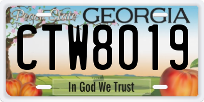 GA license plate CTW8019