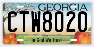 GA license plate CTW8020