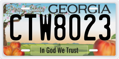 GA license plate CTW8023