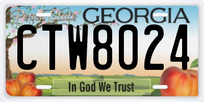 GA license plate CTW8024