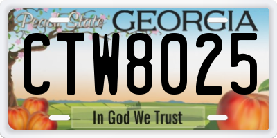 GA license plate CTW8025