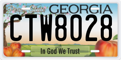 GA license plate CTW8028