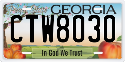 GA license plate CTW8030