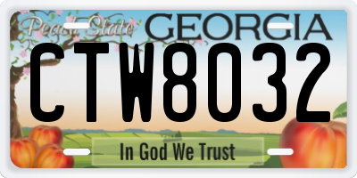 GA license plate CTW8032