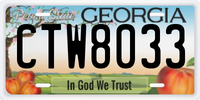 GA license plate CTW8033