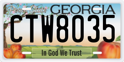 GA license plate CTW8035