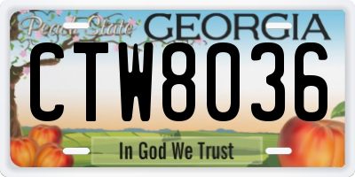 GA license plate CTW8036