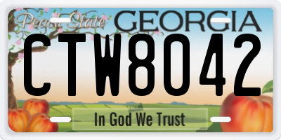 GA license plate CTW8042