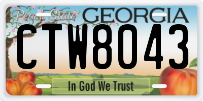 GA license plate CTW8043