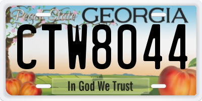 GA license plate CTW8044