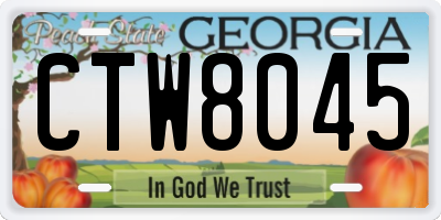 GA license plate CTW8045