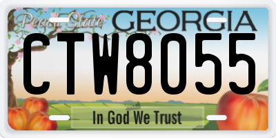 GA license plate CTW8055