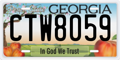 GA license plate CTW8059