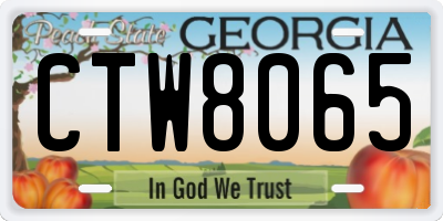 GA license plate CTW8065