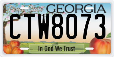 GA license plate CTW8073