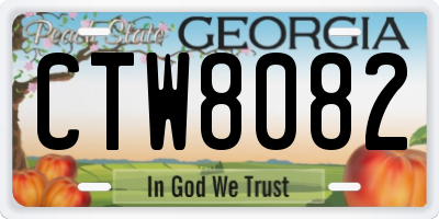 GA license plate CTW8082