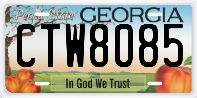 GA license plate CTW8085
