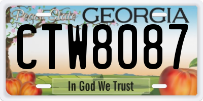GA license plate CTW8087