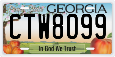 GA license plate CTW8099