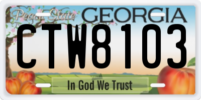 GA license plate CTW8103