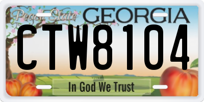 GA license plate CTW8104