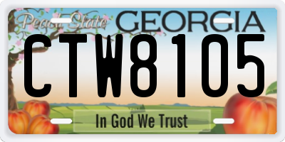 GA license plate CTW8105