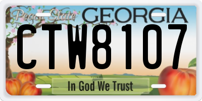 GA license plate CTW8107