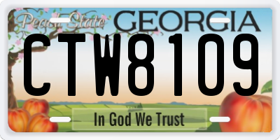 GA license plate CTW8109