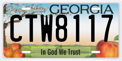 GA license plate CTW8117