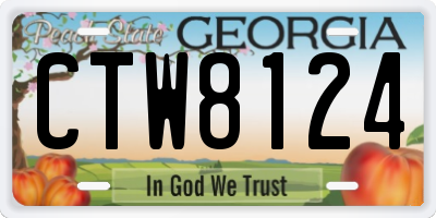 GA license plate CTW8124