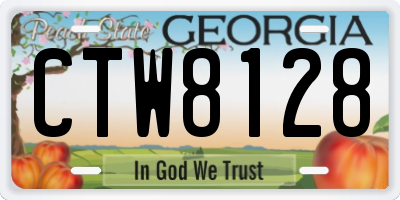 GA license plate CTW8128