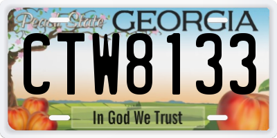 GA license plate CTW8133