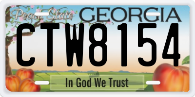 GA license plate CTW8154