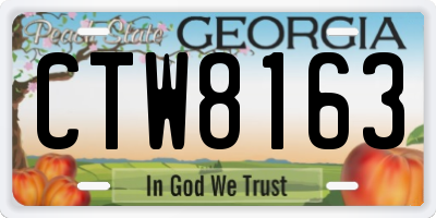 GA license plate CTW8163