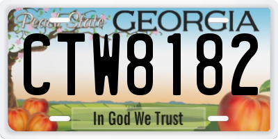 GA license plate CTW8182