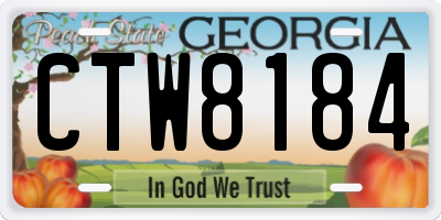 GA license plate CTW8184