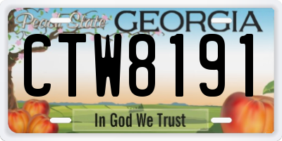 GA license plate CTW8191