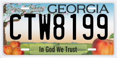 GA license plate CTW8199