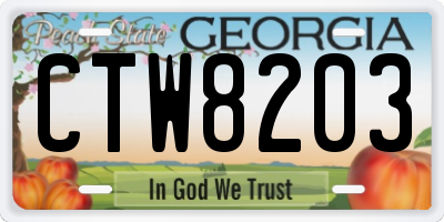 GA license plate CTW8203