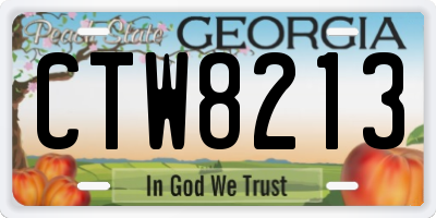 GA license plate CTW8213