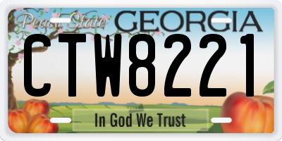 GA license plate CTW8221