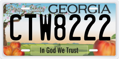 GA license plate CTW8222