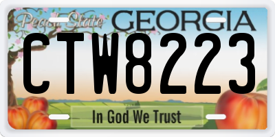 GA license plate CTW8223