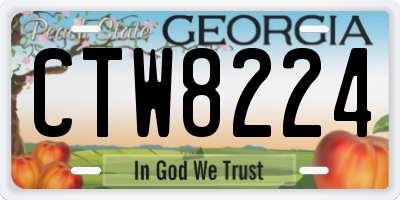 GA license plate CTW8224