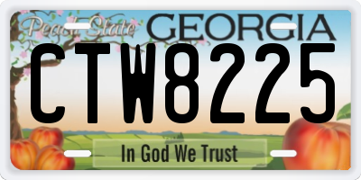 GA license plate CTW8225